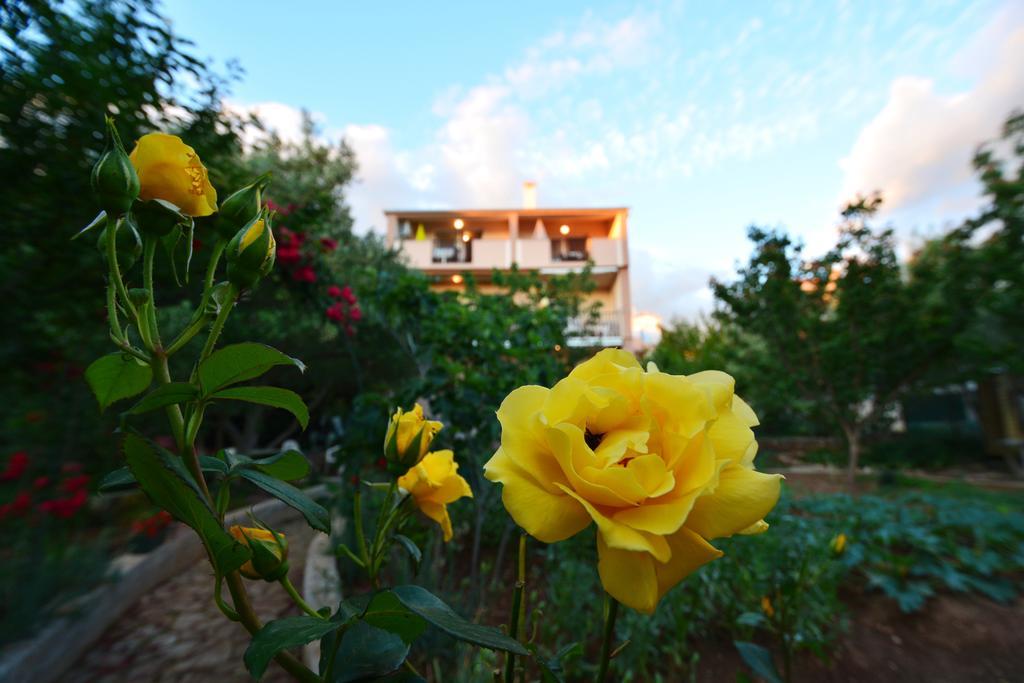 Apartments Silvana Sunset View Zadar Eksteriør billede
